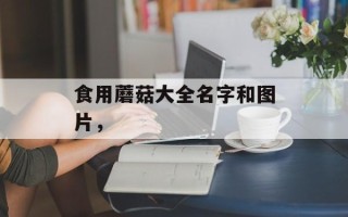 食用蘑菇大全名字和图片，