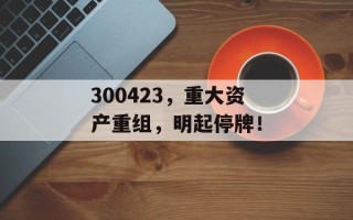 300423，重大资产重组，明起停牌！