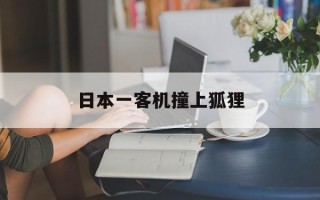 日本一客机撞上狐狸