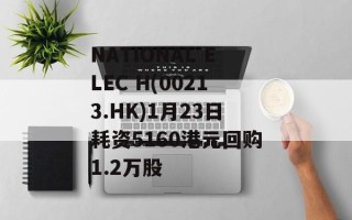 NATIONAL ELEC H(00213.HK)1月23日耗资5160港元回购1.2万股