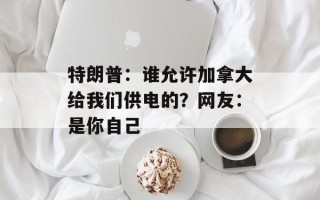特朗普：谁允许加拿大给我们供电的？网友：是你自己
