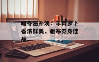 暖冬滋补汤：羊肉萝卜香浓鲜美，驱寒养身佳品。