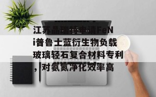 江苏晶瑞特申请FeNi普鲁士蓝衍生物负载玻璃轻石复合材料专利，对氨氮净化效率高