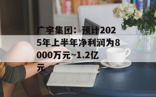 广宇集团：预计2025年上半年净利润为8000万元~1.2亿元