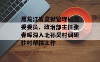 黑龙江省监狱管理局党委委员、政治部主任张春晖深入北孙吴村调研驻村帮扶工作