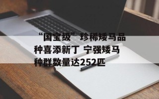 “国宝级”珍稀矮马品种喜添新丁 宁强矮马种群数量达252匹