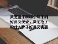 灵芝孢子粉哪个牌子的好用又便宜，灵芝孢子粉什么牌子好用又实惠
