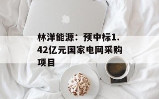 林洋能源：预中标1.42亿元国家电网采购项目