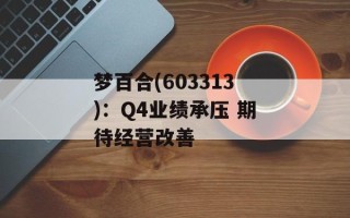 梦百合(603313)：Q4业绩承压 期待经营改善