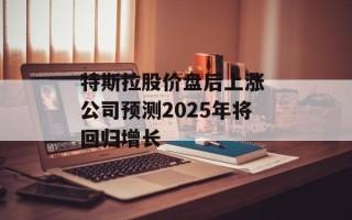 特斯拉股价盘后上涨 公司预测2025年将回归增长
