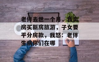 老伴去世一个月，我卖房买新房旅游，子女要平分房款，我怒：老伴生病你们在哪
