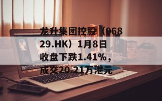 龙升集团控股（06829.HK）1月8日收盘下跌1.41%，成交20.21万港元