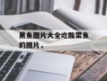 黑鱼图片大全吃酸菜鱼的图片，