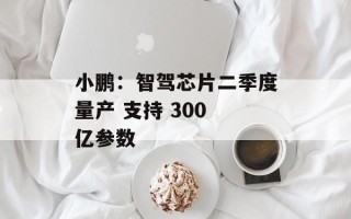 小鹏：智驾芯片二季度量产 支持 300 亿参数