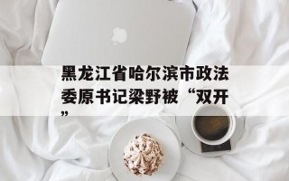 黑龙江省哈尔滨市政法委原书记梁野被“双开”