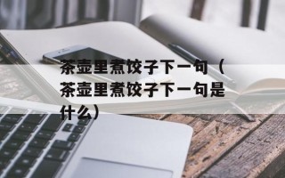 茶壶里煮饺子下一句（茶壶里煮饺子下一句是什么）