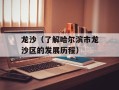 龙沙（了解哈尔滨市龙沙区的发展历程）