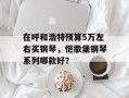在呼和浩特预算5万左右买钢琴，恺撒堡钢琴系列哪款好？