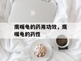 鹰嘴龟的药用功效，鹰嘴龟的药性
