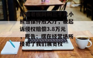 民宿老板网购三千元小熊当摆件放大厅，被起诉侵权赔偿3.8万元，原告：摆在经营场所侵犯了我们展览权