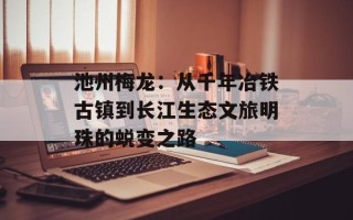 池州梅龙：从千年冶铁古镇到长江生态文旅明珠的蜕变之路