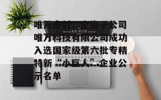 唯万密封：全资子公司唯万科技有限公司成功入选国家级第六批专精特新“小巨人”企业公示名单