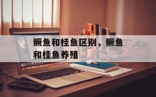 鳜鱼和桂鱼区别，鳜鱼和桂鱼养殖