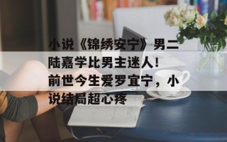 小说《锦绣安宁》男二陆嘉学比男主迷人！ 前世今生爱罗宜宁，小说结局超心疼