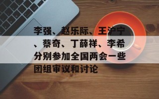 李强、赵乐际、王沪宁、蔡奇、丁薛祥、李希分别参加全国两会一些团组审议和讨论