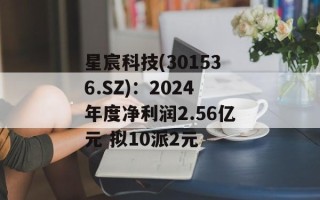 星宸科技(301536.SZ)：2024年度净利润2.56亿元 拟10派2元