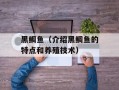 黑鲷鱼（介绍黑鲷鱼的特点和养殖技术）