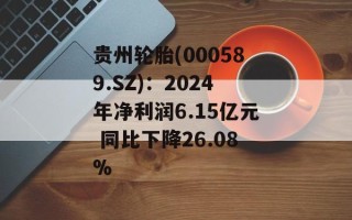 贵州轮胎(000589.SZ)：2024年净利润6.15亿元 同比下降26.08%