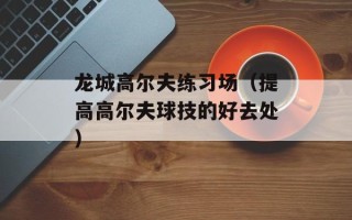 龙城高尔夫练习场（提高高尔夫球技的好去处）