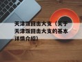 天津饭回击大支（关于天津饭回击大支的基本详情介绍）