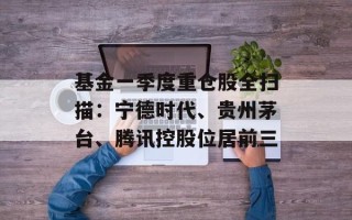 基金一季度重仓股全扫描：宁德时代、贵州茅台、腾讯控股位居前三