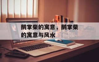 鹅掌柴的寓意，鹅掌柴的寓意与风水