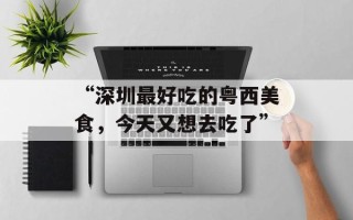 “深圳最好吃的粤西美食，今天又想去吃了”