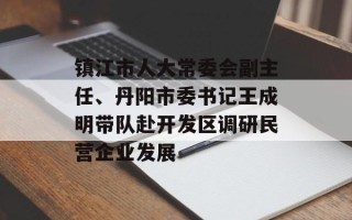 镇江市人大常委会副主任、丹阳市委书记王成明带队赴开发区调研民营企业发展
