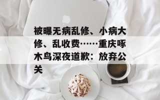 被曝无病乱修、小病大修、乱收费……重庆啄木鸟深夜道歉：放弃公关