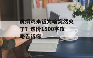 黄焖鸡米饭为啥突然火了？这份1500字攻略告诉你