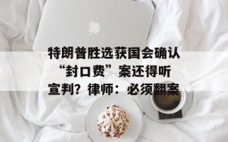 特朗普胜选获国会确认 “封口费”案还得听宣判？律师：必须翻案