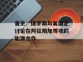 普京：俄罗斯与美国正讨论在阿拉斯加等地的能源合作