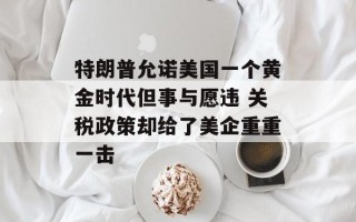 特朗普允诺美国一个黄金时代但事与愿违 关税政策却给了美企重重一击