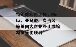 特朗普即将上任，Meta、亚马逊、麦当劳等美国大企业终止或缩减多元化项目