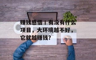 赚钱感悟丨有没有什么项目，大环境越不好，它就越赚钱？