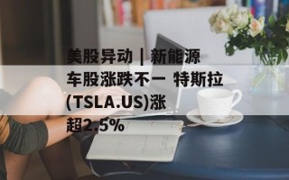 美股异动 | 新能源车股涨跌不一 特斯拉(TSLA.US)涨超2.5%