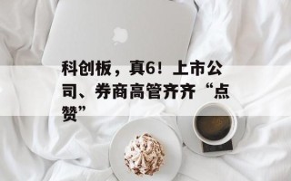 科创板，真6！上市公司、券商高管齐齐“点赞”