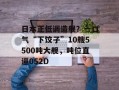 日本正低调造舰？一口气“下饺子”10艘5500吨大舰，吨位直逼052D