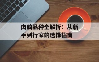 肉鸽品种全解析：从新手到行家的选择指南
