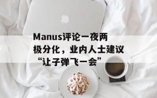 Manus评论一夜两极分化，业内人士建议“让子弹飞一会”